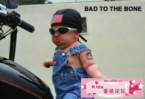 5de8b1a634fd5a9e258b3cb15c170365.jpg