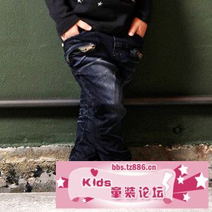 A099F33DS011.jpg