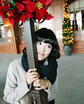 31.gif